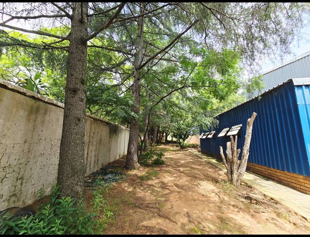 2,000M² WAREHOUSE FOR SALE IN HONEYDEW